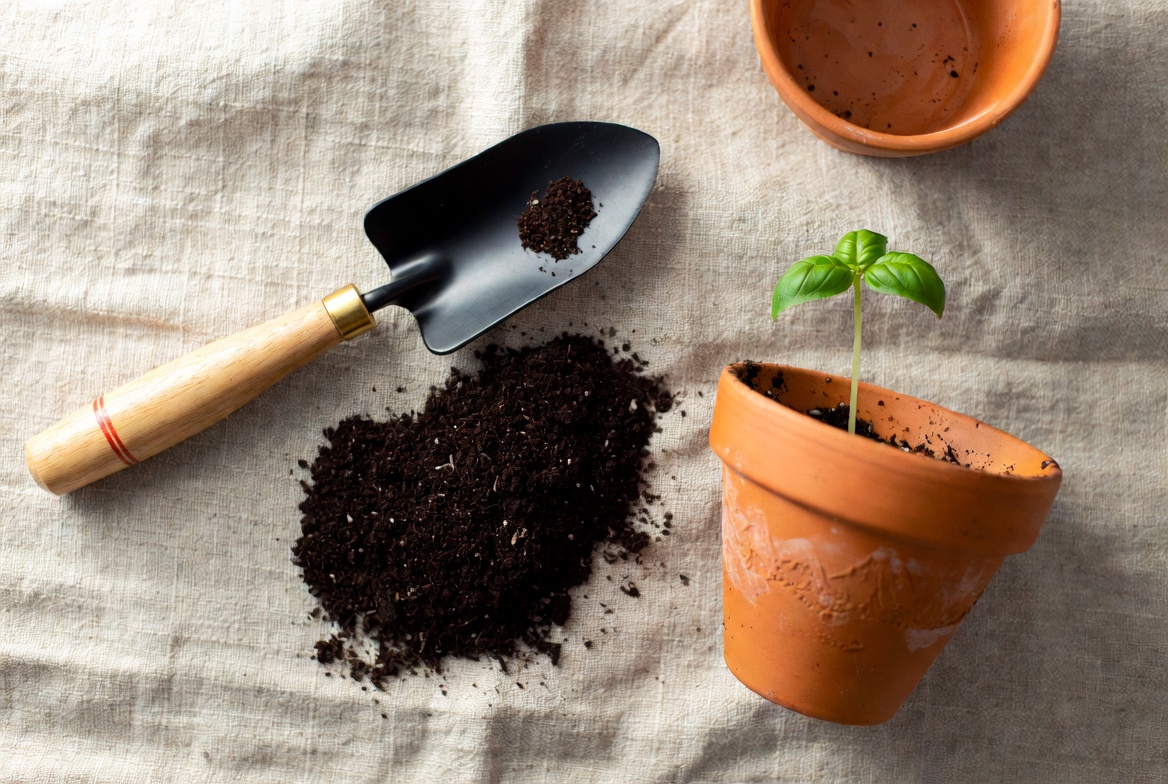 Garden tools, soil, and a seedling on linen cloth