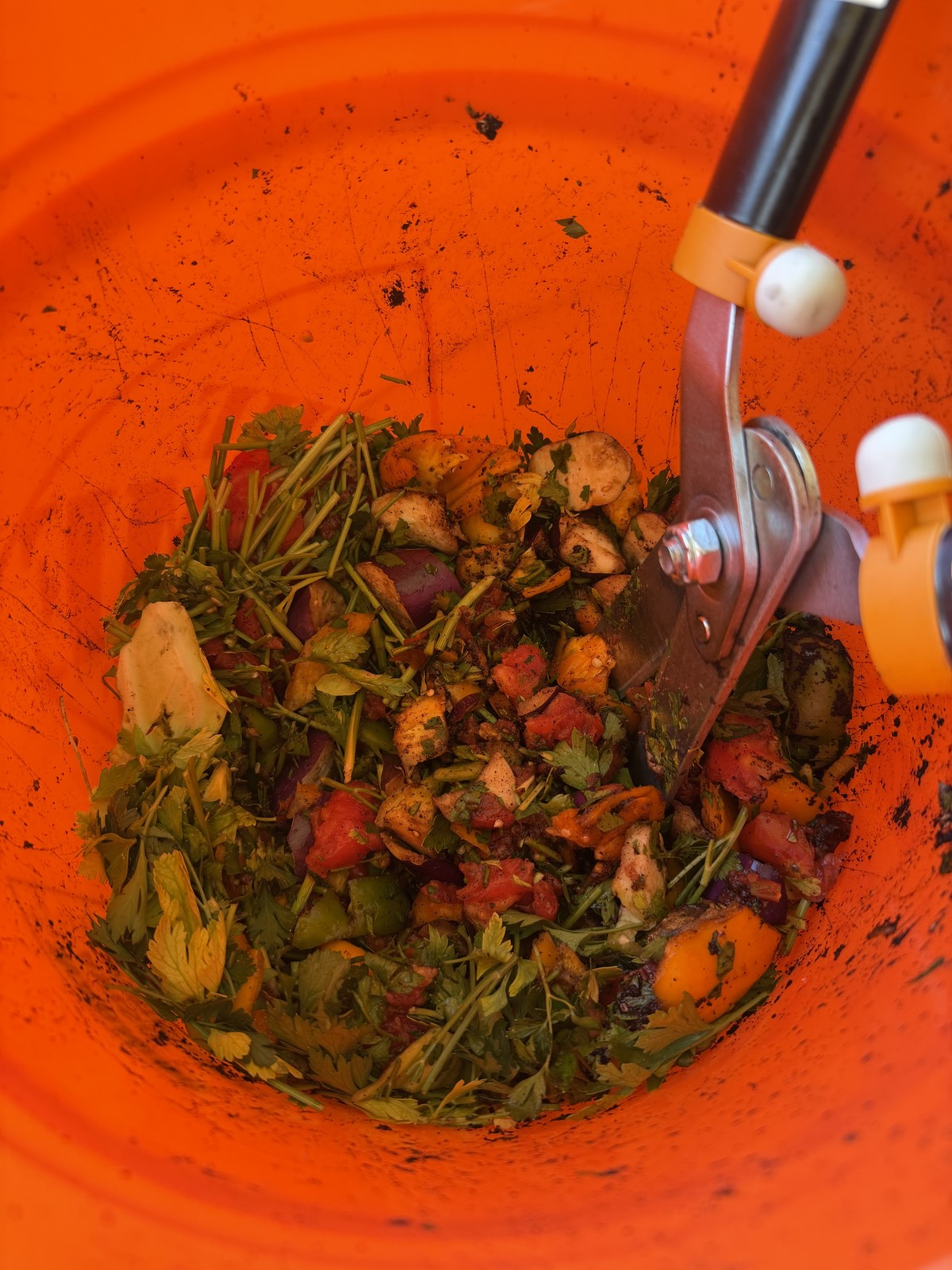 Freshly chopped produce and greens mixed as a compost salad in an orange bucket with pruning shears