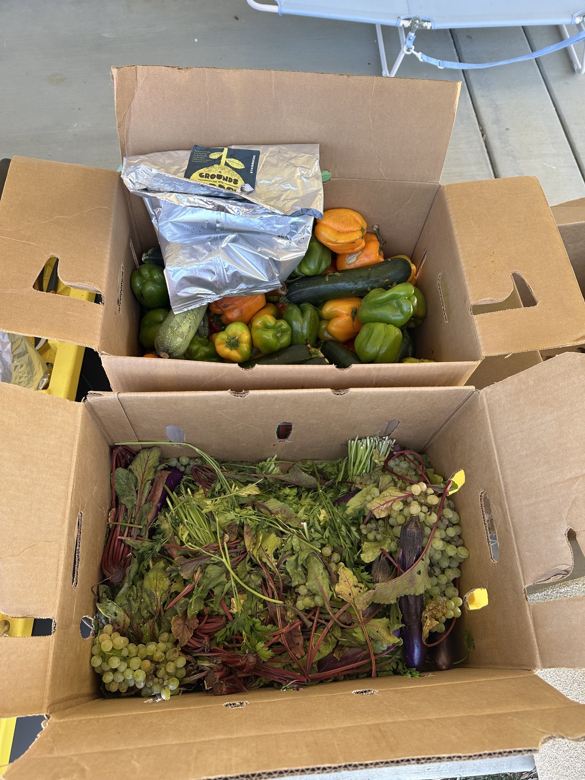 Cardboard boxes of peppers, squash, greens, grapes, and coffee grounds collected from a farmers market